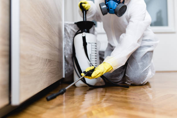 Professional Pest Control in Warroad, MN