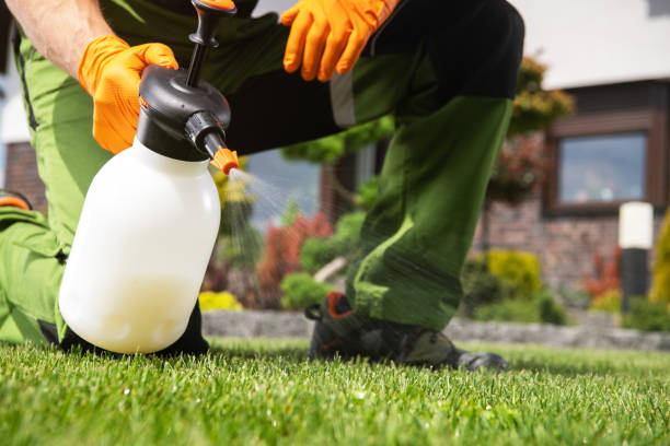 Wildlife Control Services in Warroad, MN