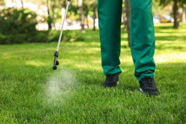 Best Wasp Removal Services  in Warroad, MN