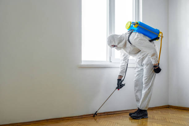 Best Wildlife Control Services  in Warroad, MN
