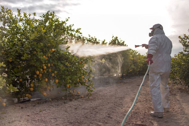 Best Affordable Pest Control Services  in Warroad, MN