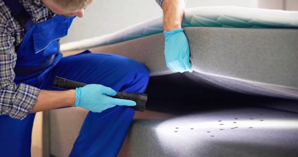 Best Pest Control Near Me in Warroad, MN