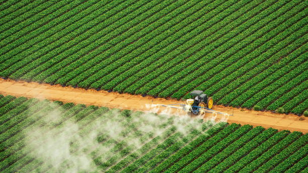 Best Best Pest Control Companies  in Warroad, MN