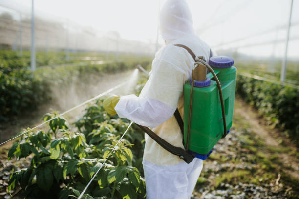Best Pest Prevention Services  in Warroad, MN